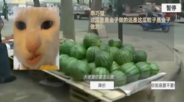 貓貓驚魂夜中文手機(jī)版截圖3