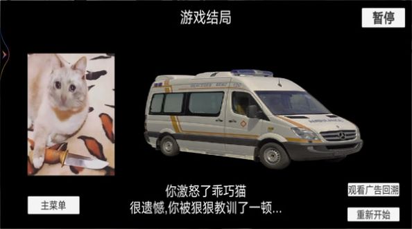 貓貓驚魂夜中文手機(jī)版截圖2