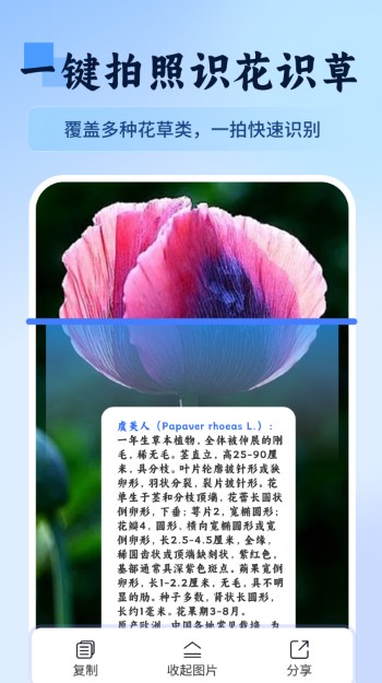 萬物識圖快拍易識別軟件版截圖4