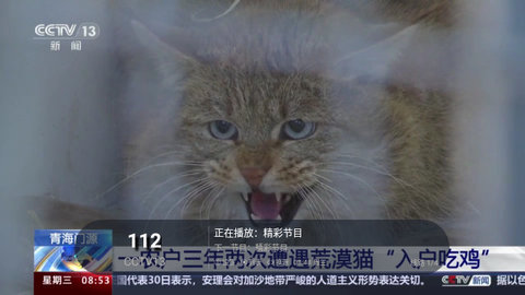高清TV電視版app下載截圖1