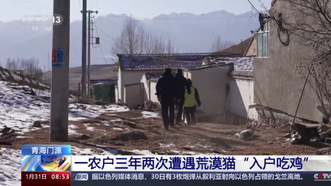 高清TV電視版app下載截圖3