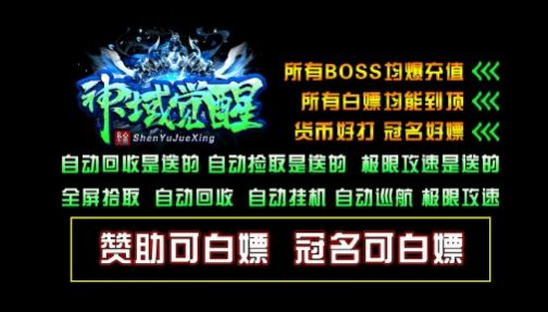 潼欣神域覺(jué)醒手游最新版截圖3