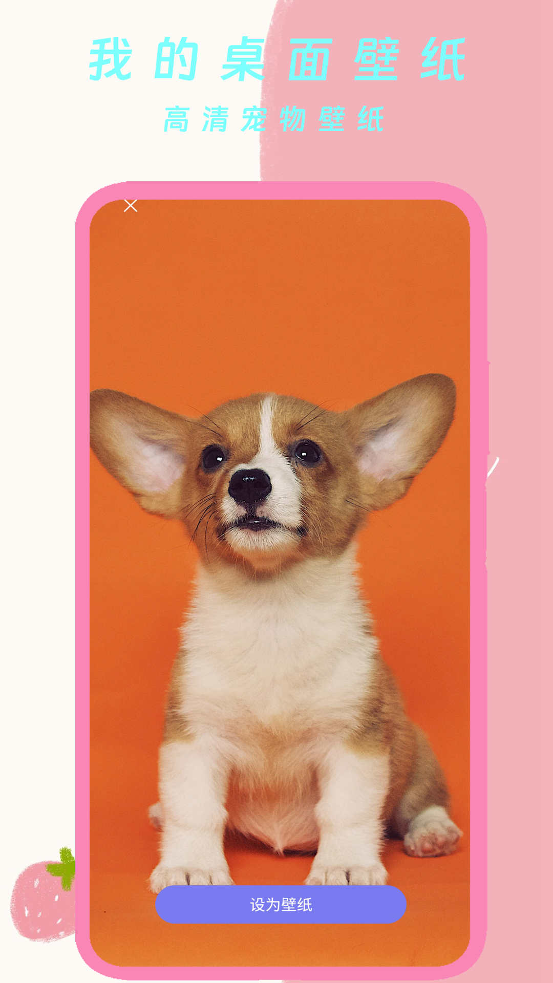 我的桌面壁紙軟件版截圖2