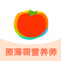 薄荷宝箱软件版