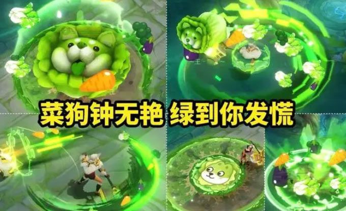 王者榮耀鐘無(wú)艷菜狗多少錢(qián)  鐘無(wú)艷蔬菜精靈聯(lián)動(dòng)皮膚價(jià)格一覽[多圖]圖片2