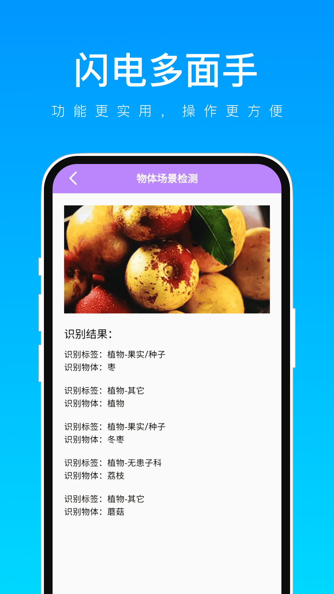 閃電多面手軟件最新版截圖2
