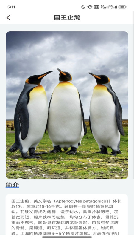 企鹅妙看软件版截图3: