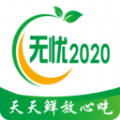 无忧2020软件版