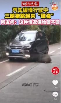 抖樂短視頻app紅包版截圖2