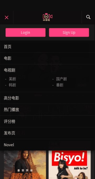 4k影視下載軟件安裝截圖3