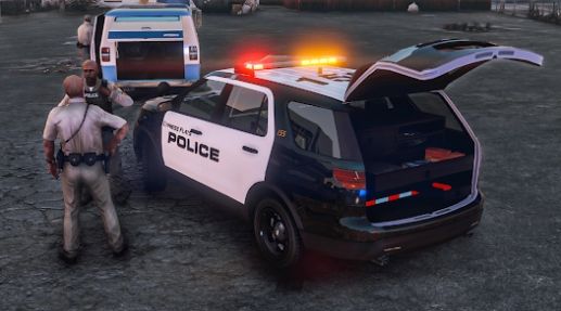 警察追車3D安卓版截圖1