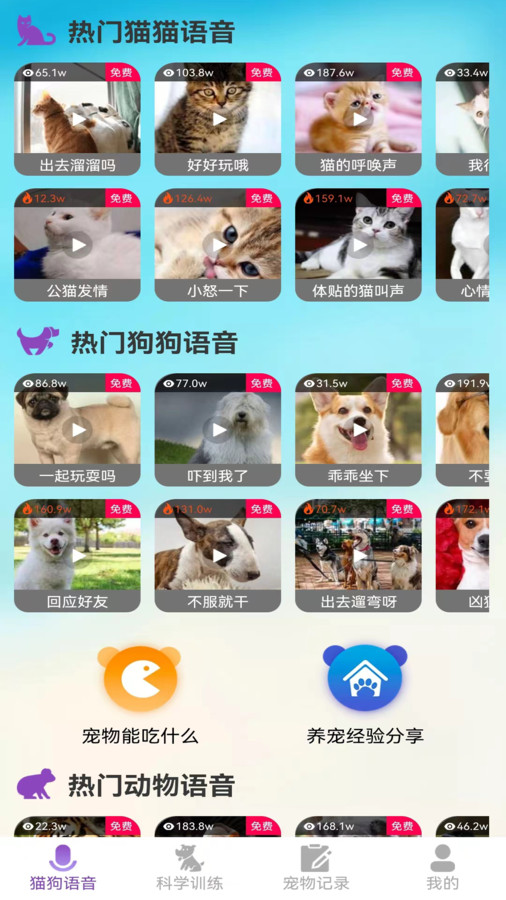 啵啵猫狗语音软件版截图4: