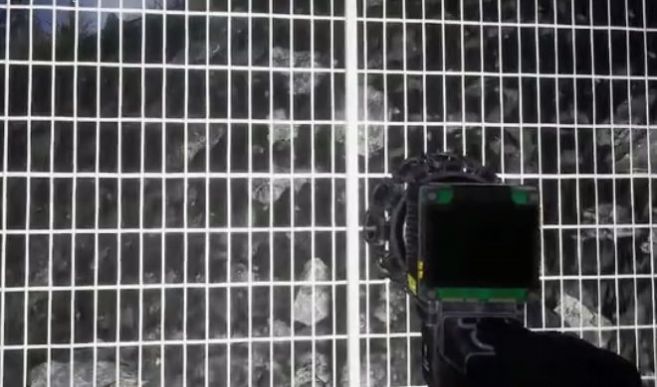 詭異動(dòng)物園游戲完整版截圖1