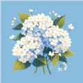 繡球花錦盒軟件最新版
