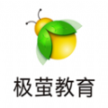極螢軟件版