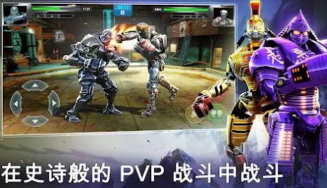 真正的鋼鐵拳擊冠軍中文手機(jī)版截圖1
