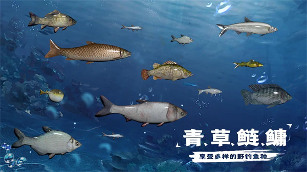 天天釣魚怎么刷龍玉 速刷龍玉技巧分享