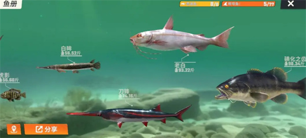 歡樂釣魚大師魚類圖鑒大全 全部種類的魚圖鑒一覽