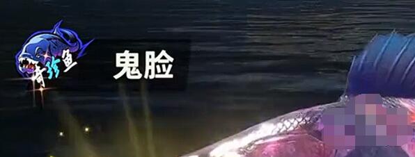 歡樂釣魚大師稀有魚排行榜 最新稀有魚排行一覽