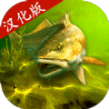 我的釣魚(yú)世界正版下載安裝