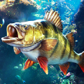 歡樂釣魚大師3D版免費(fèi)下載手機(jī)版