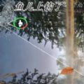 極限釣魚大師游戲安卓版