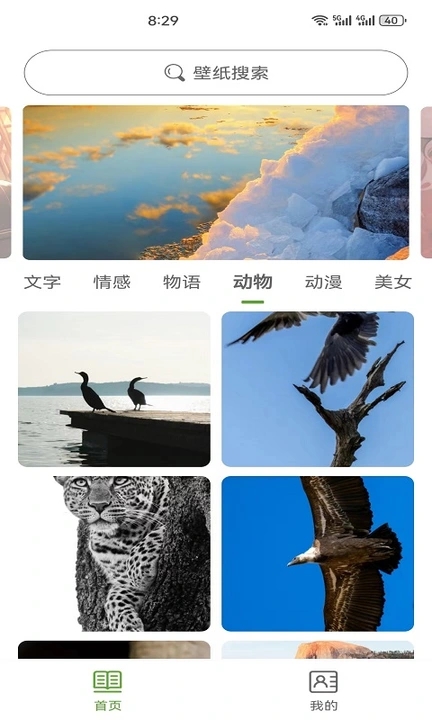 白葉壁紙軟件下載截圖1