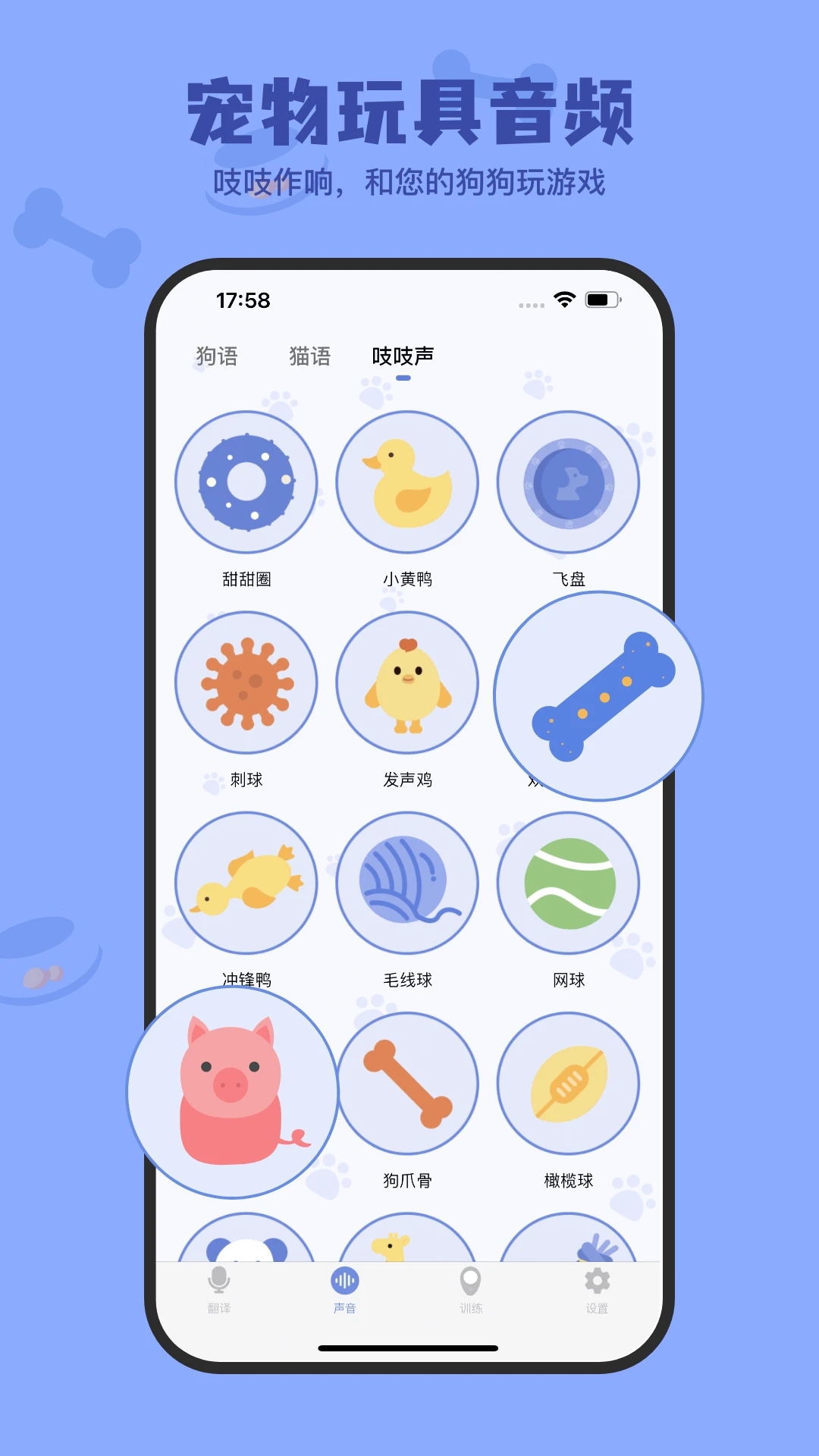 小白交流翻譯軟件下載安裝最新版截圖3