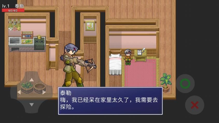 維洛卡之地截圖2