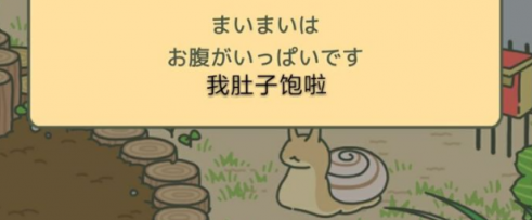 青蛙旅行蝸牛/烏龜/蜜蜂出現(xiàn)時(shí)間詳解